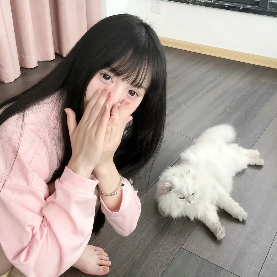 合子异种